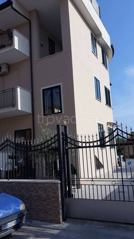 appartamento in affitto a Marcianise