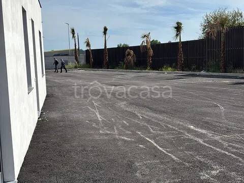 capannone in affitto a Marcianise