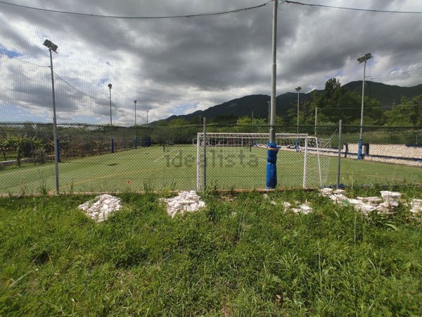 negozio in affitto a Piedimonte Matese