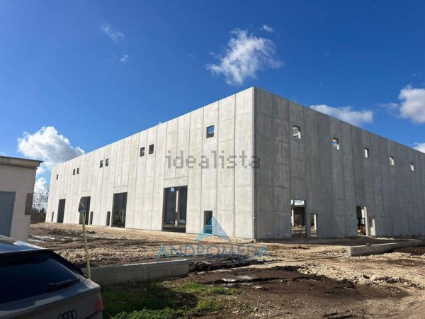 capannone in affitto a Pignataro Maggiore