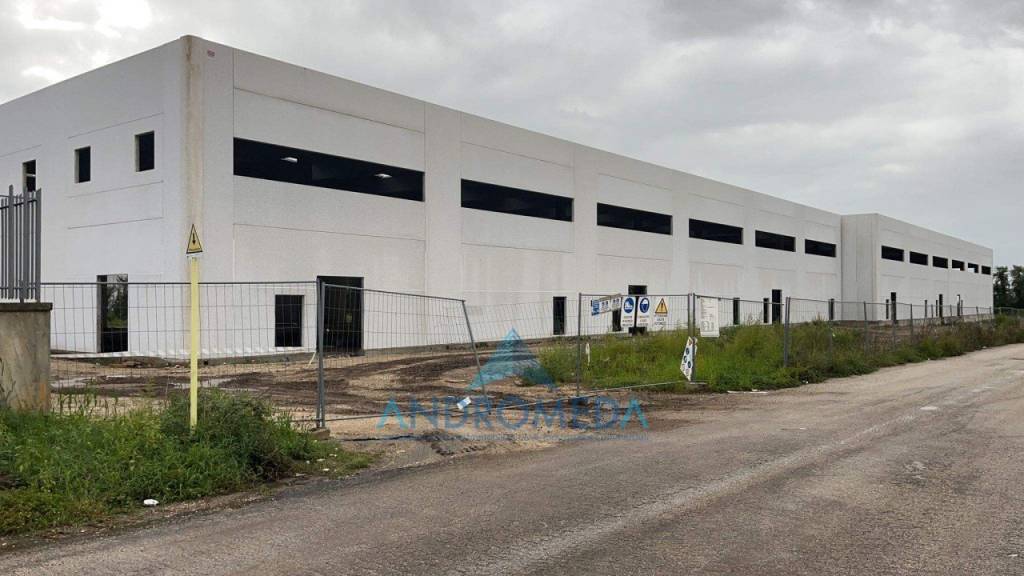 locale commerciale in affitto a Pignataro Maggiore