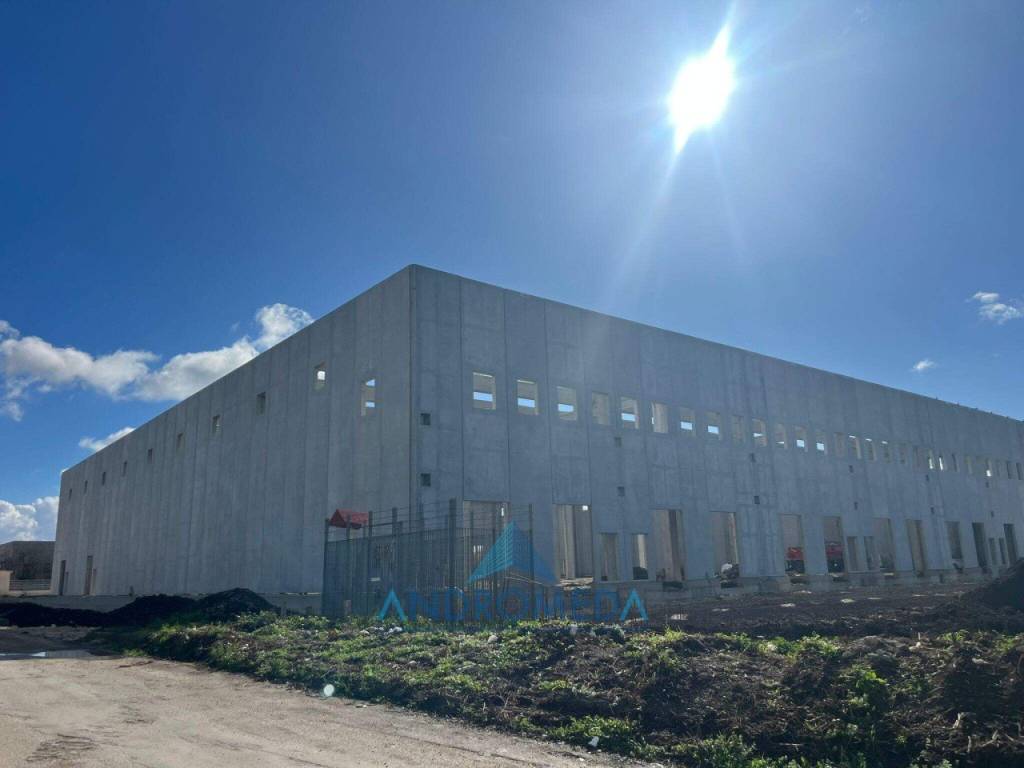 locale commerciale in affitto a Pignataro Maggiore