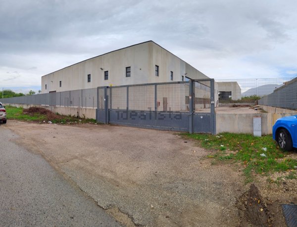 casa semindipendente in affitto a Pignataro Maggiore