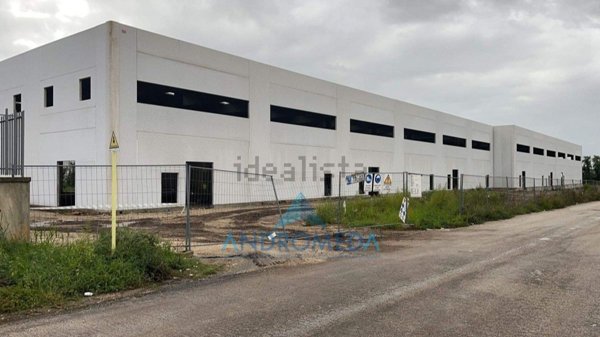 capannone in affitto a Pignataro Maggiore