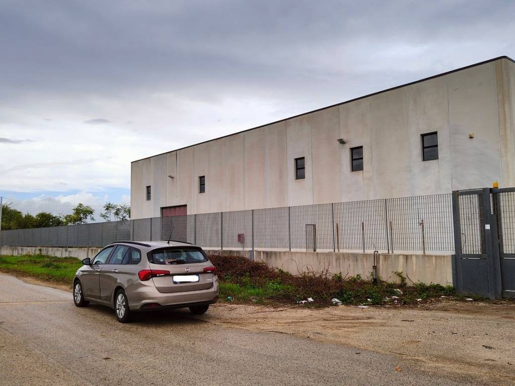 locale commerciale in affitto a Pignataro Maggiore