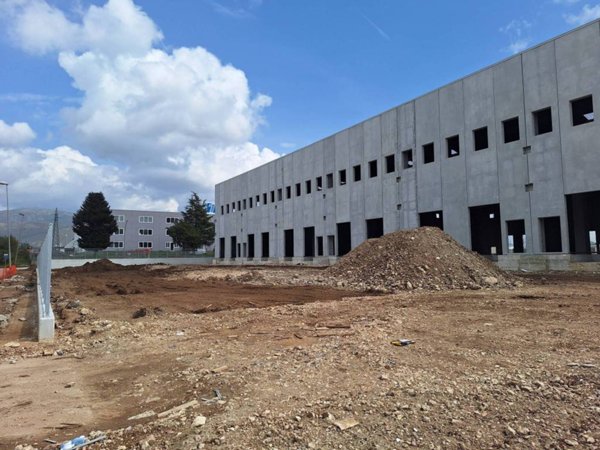 capannone in affitto a Pignataro Maggiore