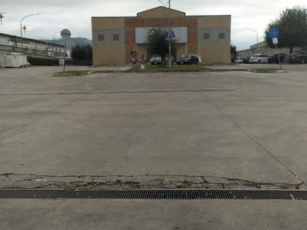 immagine annuncio 0 di 3