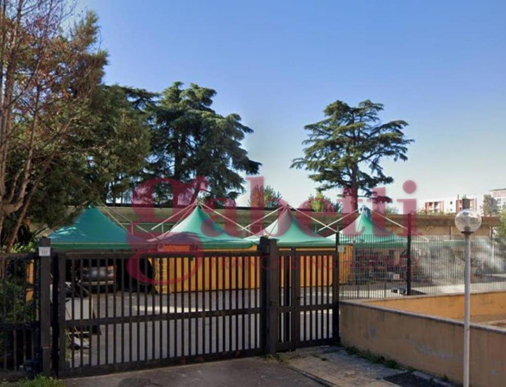casa indipendente in affitto a San Nicola la Strada