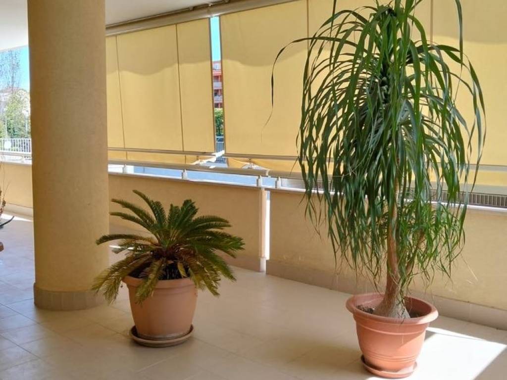 appartamento in affitto a San Nicola la Strada