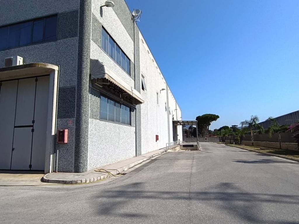 locale commerciale in affitto a San Nicola la Strada