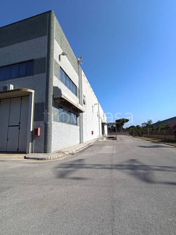 locale commerciale in affitto a San Nicola la Strada