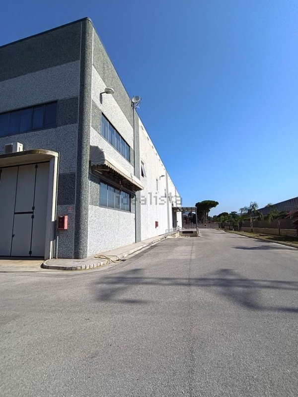 capannone in affitto a San Nicola la Strada