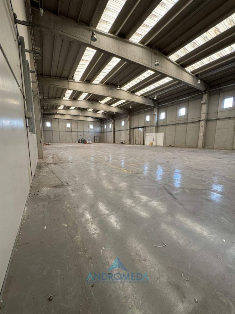 capannone in affitto a San Nicola la Strada