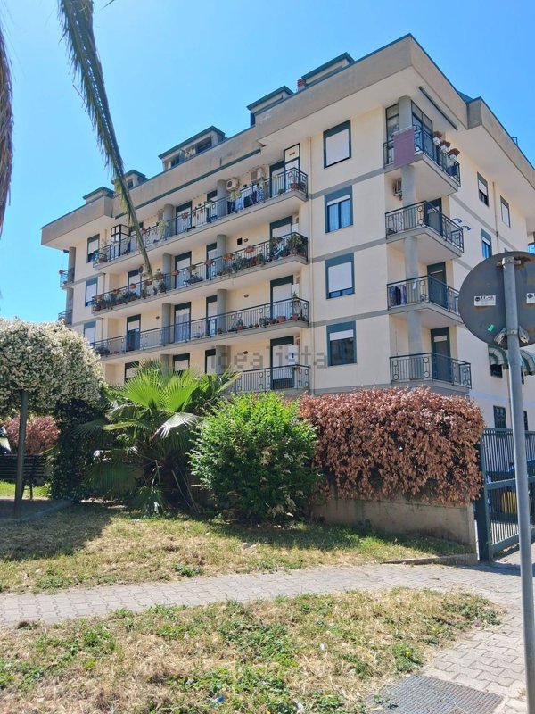appartamento in affitto a San Nicola la Strada