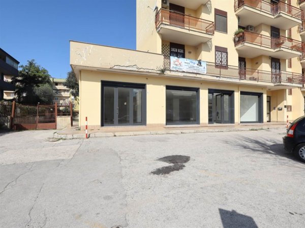 immagine annuncio 0 di 15