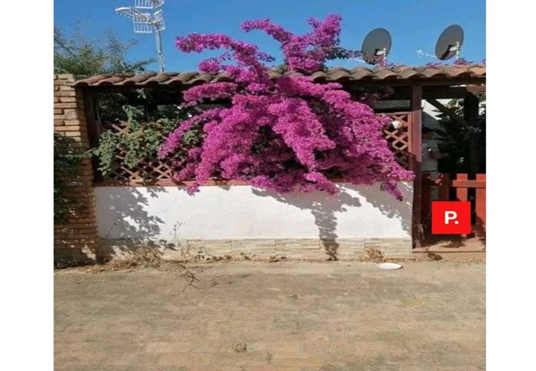 appartamento in affitto a Sessa Aurunca in zona Baia Domizia