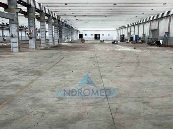 capannone in affitto a Sparanise