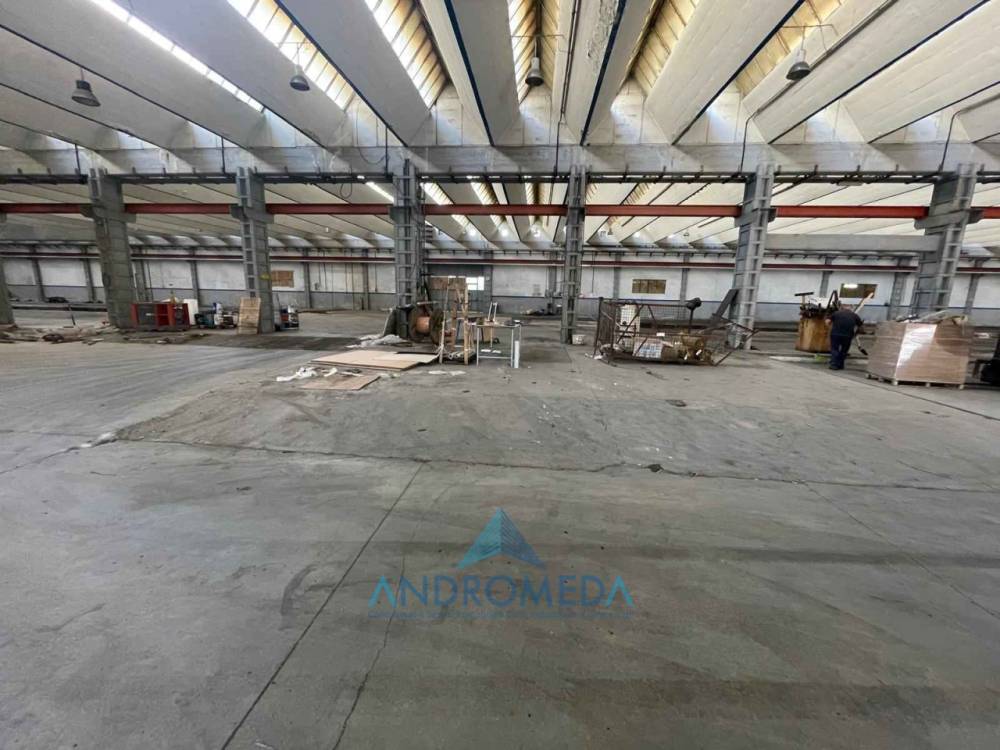 capannone in affitto a Sparanise