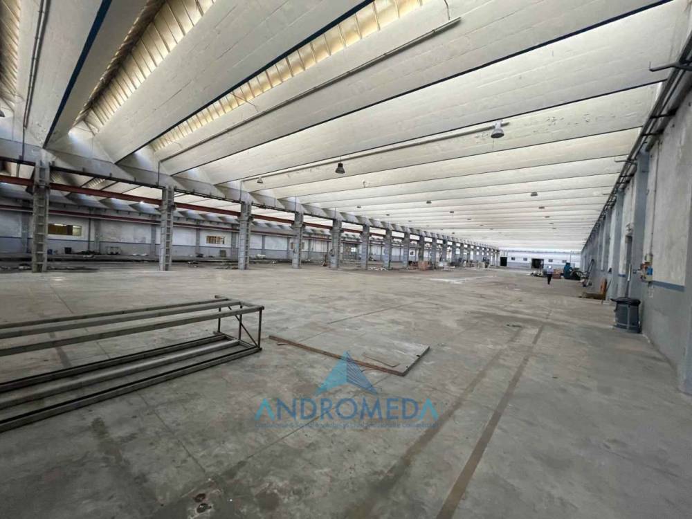 capannone in affitto a Sparanise