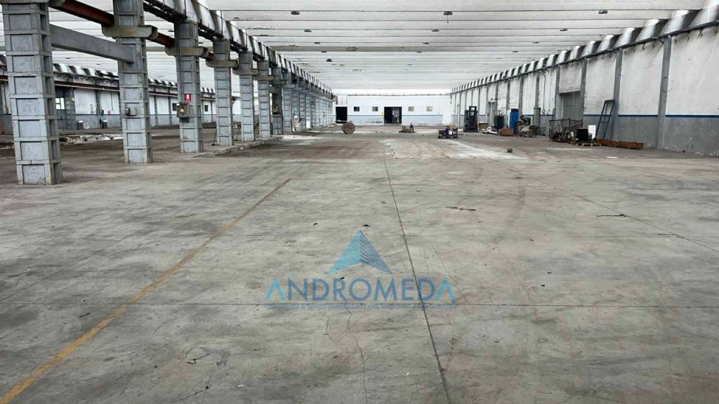 appartamento in affitto a Sparanise