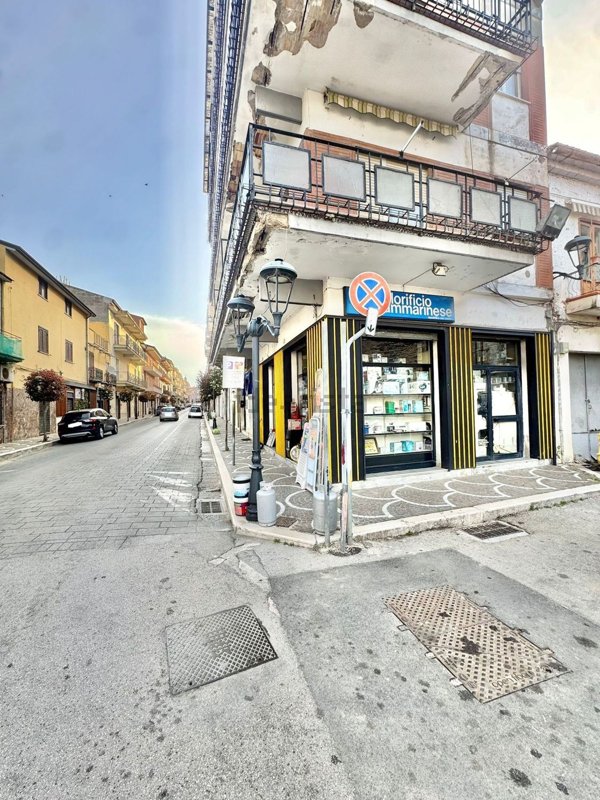 casa indipendente in affitto a Sparanise