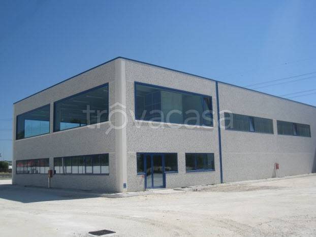 locale commerciale in affitto a Teverola