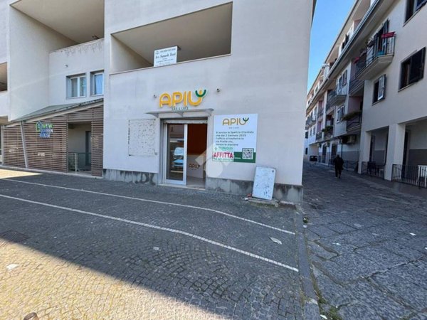 negozio in affitto a Teverola