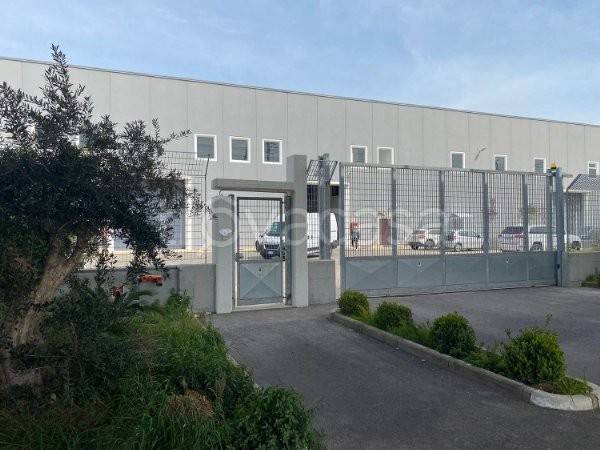 capannone in affitto a Teverola