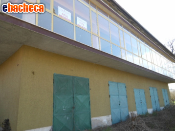 locale commerciale in affitto a Vairano Patenora in zona Vairano Scalo