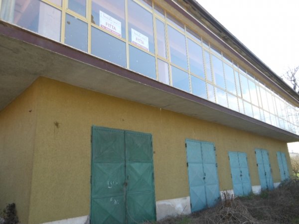 negozio in affitto a Vairano Patenora in zona Vairano Scalo