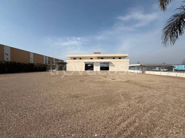 locale commerciale in affitto a Villa Literno