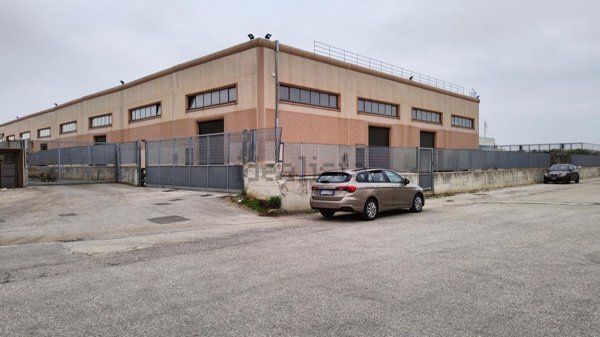 capannone in affitto a Vitulazio