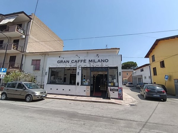 attivita commerciale in affitto a Cellole