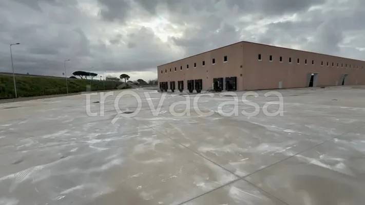capannone in affitto a San Marco Evangelista