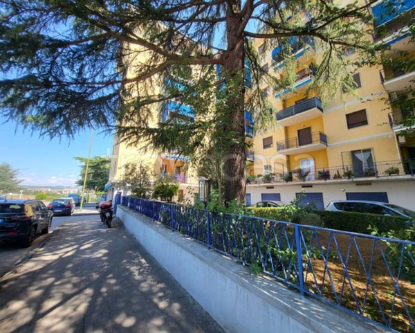 appartamento in affitto a Benevento