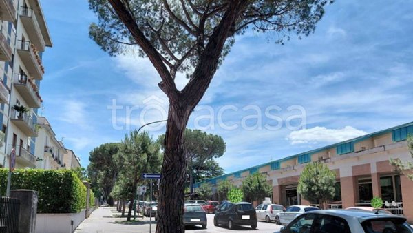 appartamento in affitto a Benevento in zona Mellusi / Atlantici