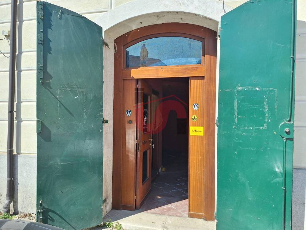 negozio in affitto a Calvi