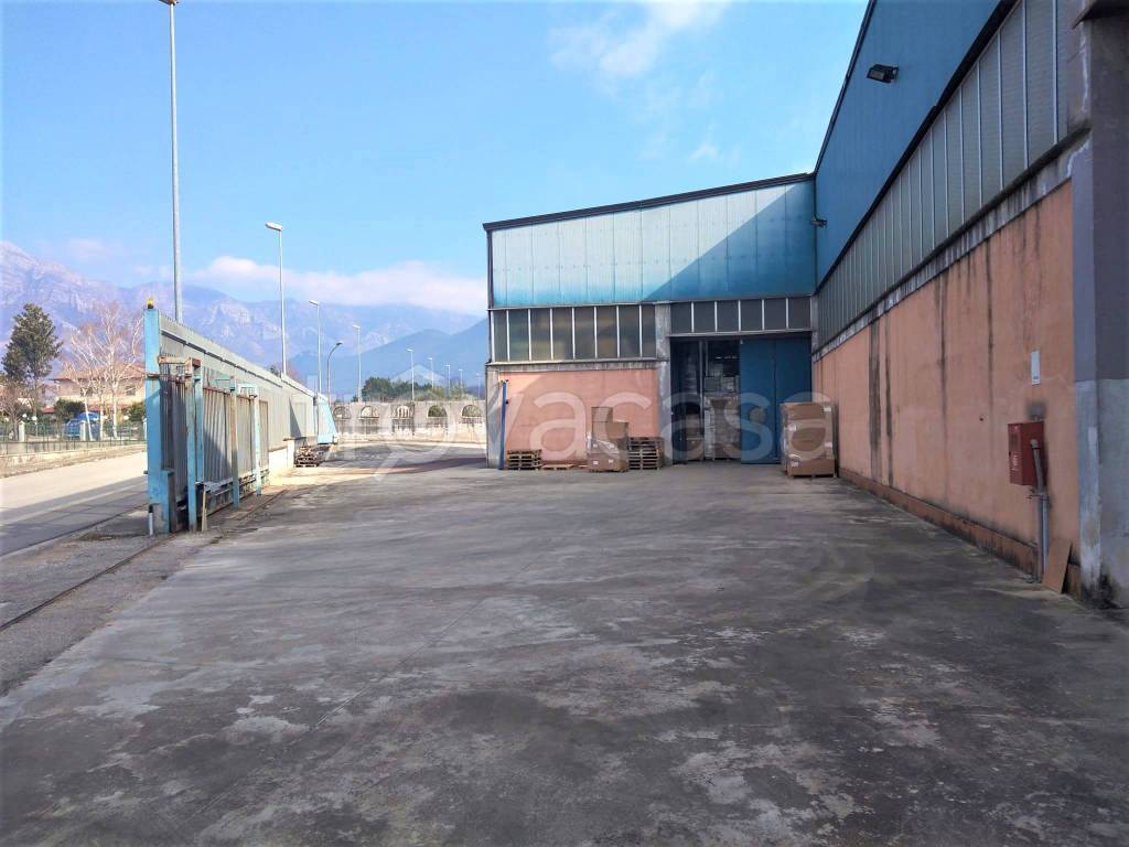 locale commerciale in affitto a Puglianello