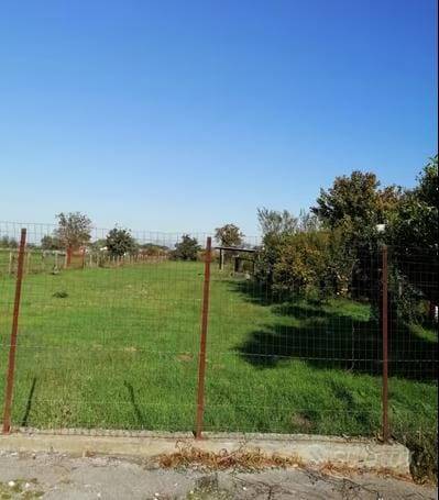 terreno agricolo in affitto ad Acerra