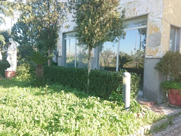 negozio in affitto ad Acerra