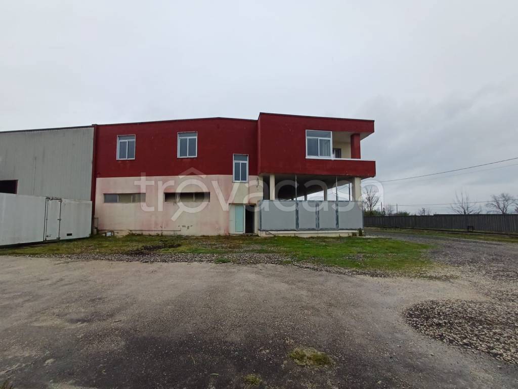 ufficio in affitto ad Acerra