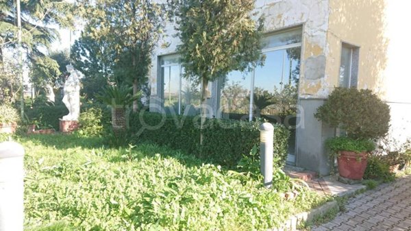 negozio in affitto ad Acerra