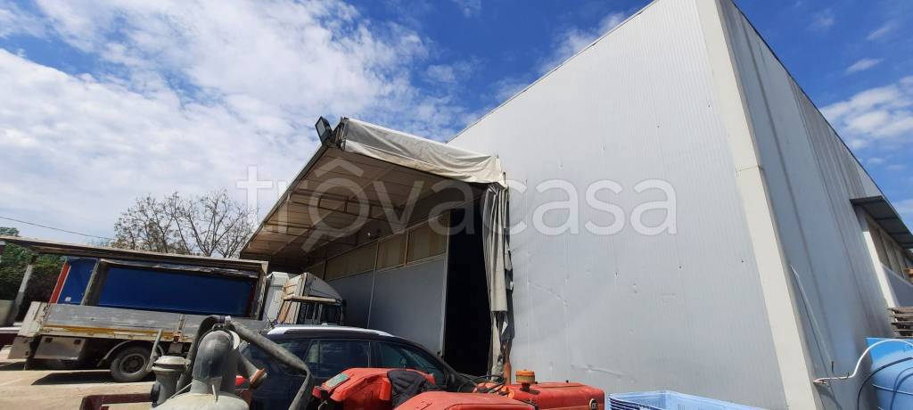 locale commerciale in affitto ad Acerra