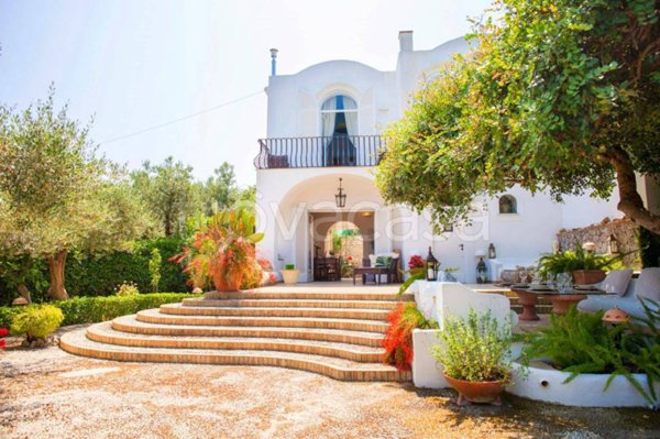 casa indipendente in affitto ad Anacapri