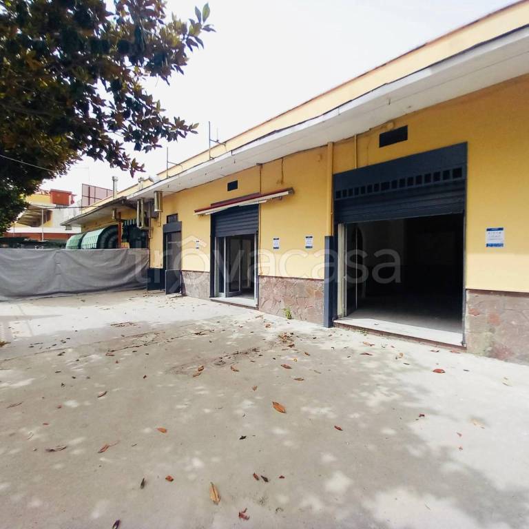 negozio in affitto ad Arzano