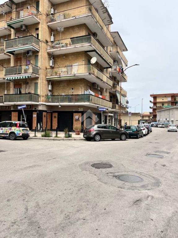 immagine annuncio 0 di 14