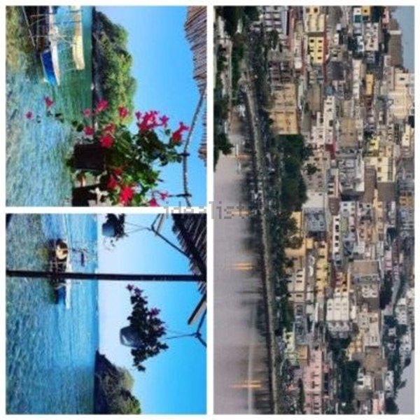 appartamento in affitto a Bacoli