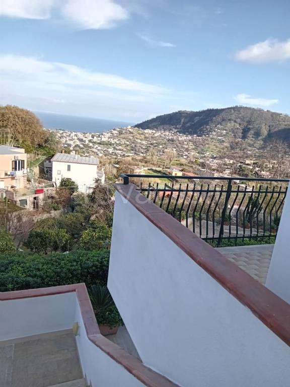 appartamento in affitto a Barano d'Ischia