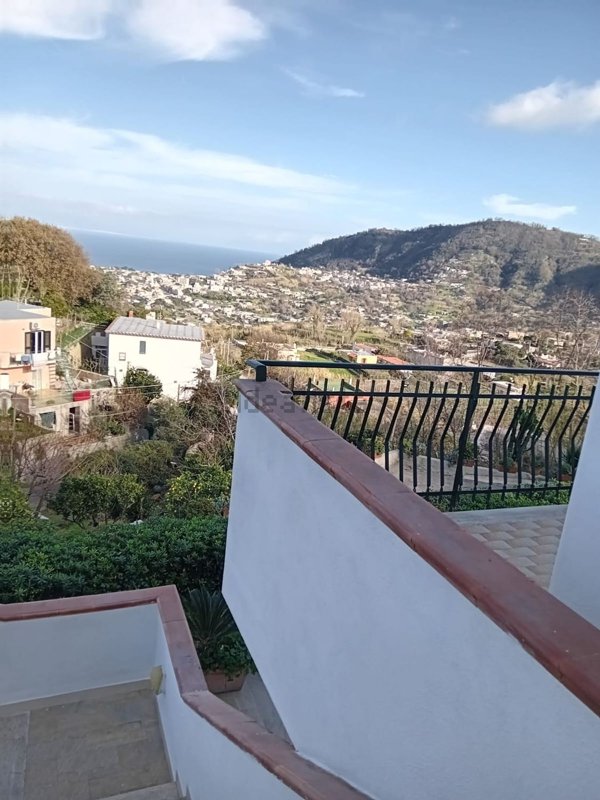 appartamento in affitto a Barano d'Ischia