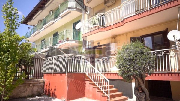 appartamento in affitto a Calvizzano